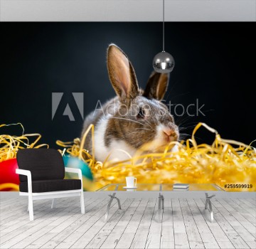 Picture of Easter bunny rabbit on the black background Easter holiday concept Cute rabbit in hay near dyed eggs Adorable baby rabbit Spring and Easter decoration Cute fluffy rabbit and painted eggs